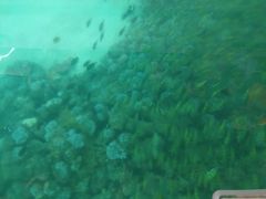 -蓝湾海滩