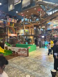 -卡通尼·Safari非洲探索乐园·生日会(金桥国际商业广场店)