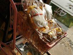 -柴犬高等学院·狗咖·柴犬售卖·宠物训练