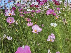 -三亚南山文化旅游区