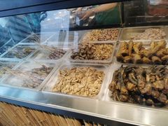 -老号尤兔头(幸福店)