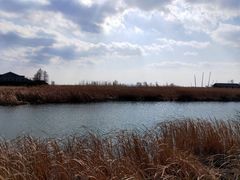 -苏州太湖国家湿地公园