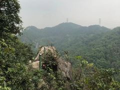 -南山植物园