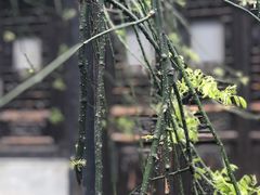 -李鸿章故居