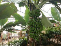 -兰陵国家农业公园