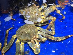 -老妈疙瘩汤·平价海鲜专门店·老威海菜(渔港路店)