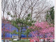 -岳各庄批发市场(西四环中路店)