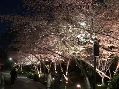 -听松楼·花园酒店·自助餐厅(红梅公园店)