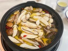 -蘑统田下·野生菌火锅