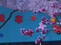 -堤角公园