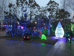 -祥源·阜阳生态乐园