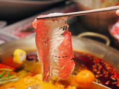 -九鼎轩脆毛肚火锅(南京东路店)