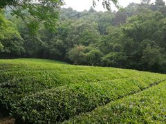 -敬亭山风景名胜区