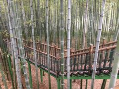 -陶祖圣境风景区