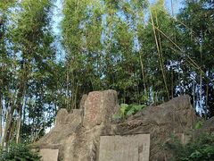 -东莞市大岭山森林公园