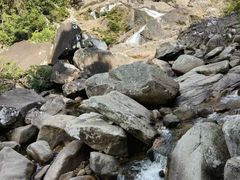 -海南热带雨林国家公园吊罗山景区