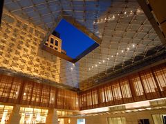 -丽思卡尔顿酒店泳池(金融街店)