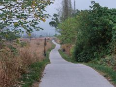 -良渚古城遗址公园