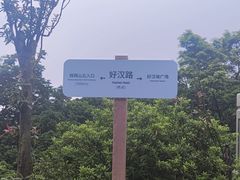 -梧桐山风景名胜区