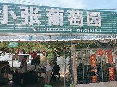 -马陆小张葡萄园农家乐