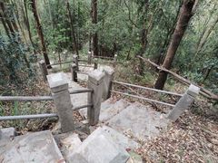 -滴水岩森林公园