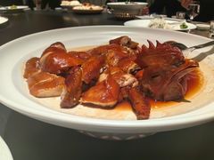 -三强鸽子(中原路店)