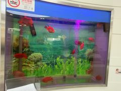 -雅悦齿科(顾村公园店)