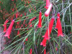 -广东茂名森林公园