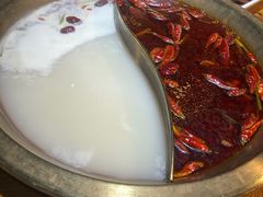 -铜锅演义(马坡店)