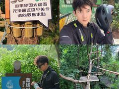 -芦仙山景区-飞越丛林探险乐园