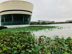 -上海海洋大学(临港校区)