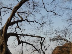 -幕燕滨江·燕子矶公园