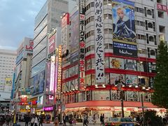 -秋叶原电器街