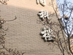 -北京协和医院(东单院区)
