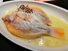 -应天大明王朝·南京菜(中山陵店)