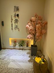 -颜和骨正·明哲式骨相美学整骨
