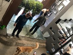 -百好乐宠物友好餐厅(朝外大街店)