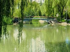 -西苑公园