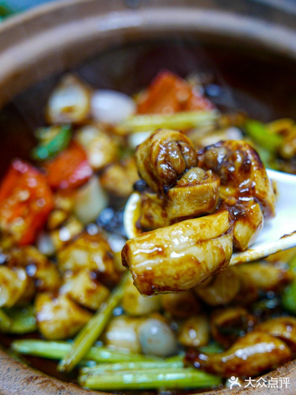 没有人可以拒绝得了一锅热辣辣的啫啫煲