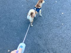 -J Create城市露营咖啡·简餐·宠物(上海动物园店)