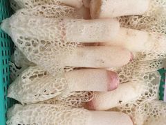 -山大王菌莊