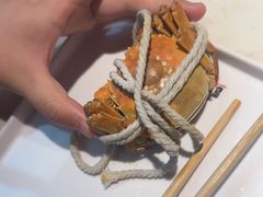 -杨氏青龙虾·羊蝎子(金盛路总店)
