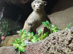 -游龙石文化科普馆