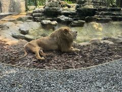-北京野生动物园