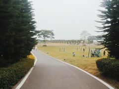 -迪茵湖田家舍生态农场