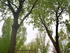 -森林公园(尖草坪区)