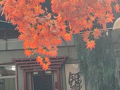 -漕河全驴宴饭店(徐水店)