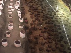 -元代水闸遗址博物馆