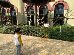-美食小镇·观赏珍稀鸟类·长隆熊猫酒店