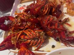 -杨氏青龙虾·羊蝎子(托乐嘉店)